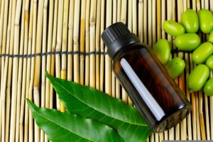 neem-essential-oil-neem-extract